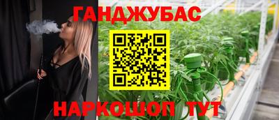 ECSTASY Обь
