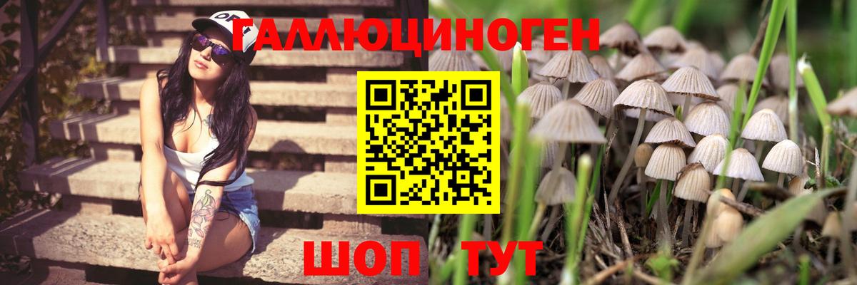 Галлюциногенные грибы мицелий  Вход с VPN  Семилуки 